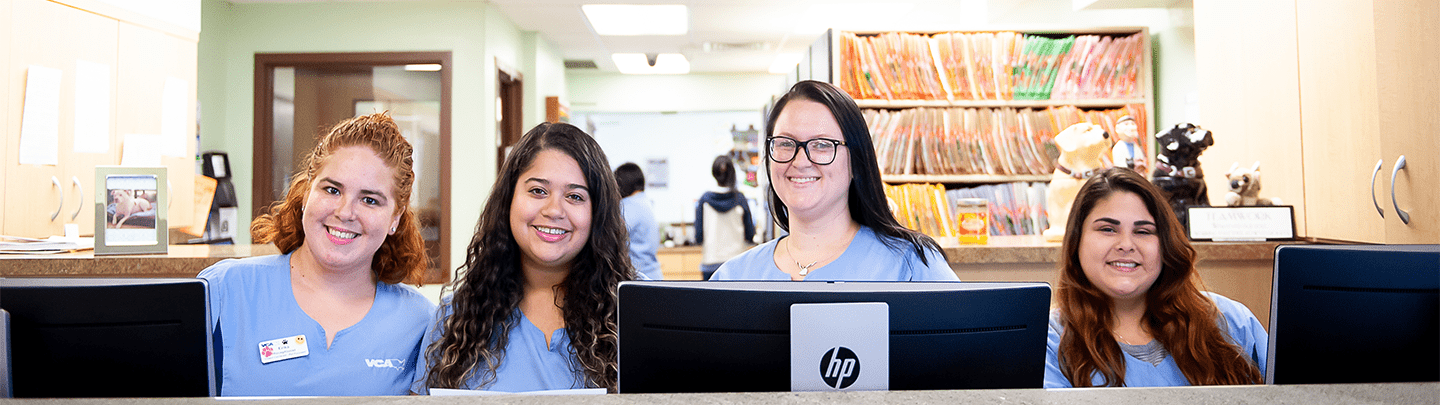 /-/media/2/vca/images/hospitals/united-states/florida/hollywood/staff/1440x405_hollywood_speciality_team.png?rev=75347d6c6f9449f49b053c31eb41ad15