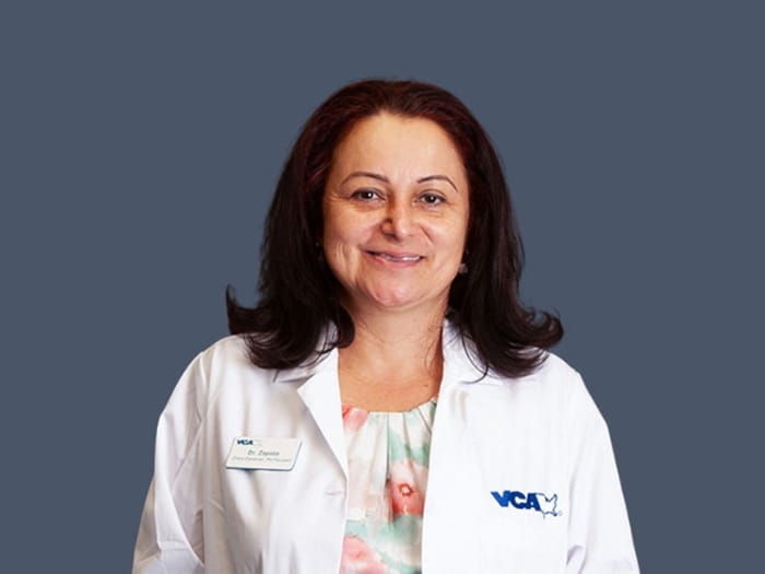 Dr. Diana Zapata Staff Photo