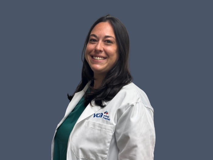 Dr. Jaymie Zweig Staff Photo