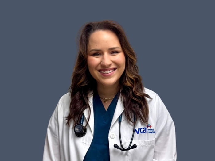 Dr. Jenna Cardillo Staff Photo