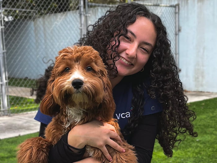 Brianna Bello Staff Photo