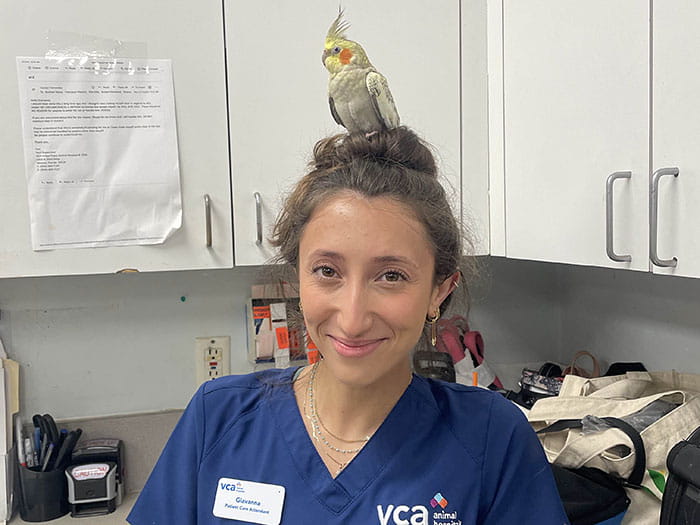 Giavanna Iglio Staff Photo