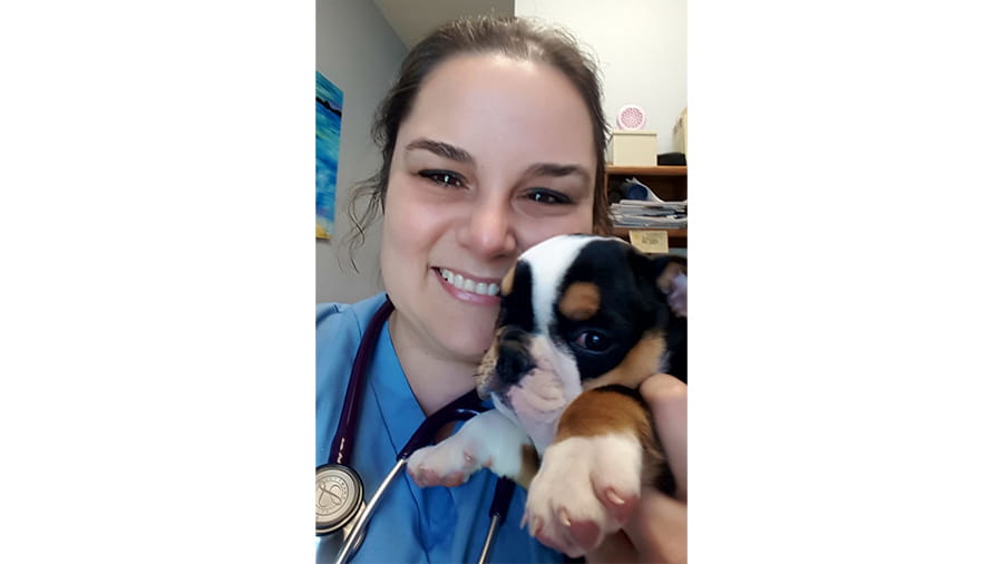 VCA associate with puppy