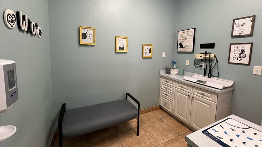 Exam Room 1 at VCA Little Animal Hospital