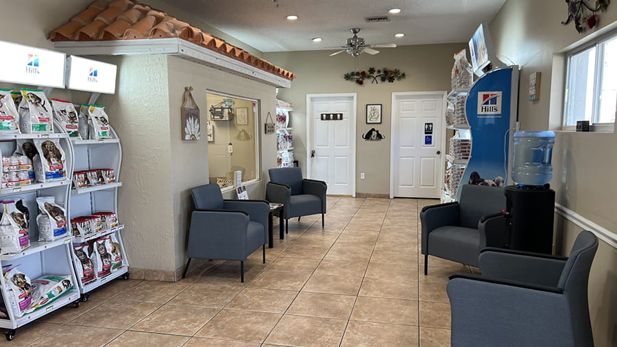Lobby at VCA Little Animal Hospital