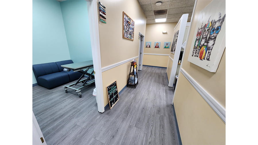 Hallway at VCA Lockwood Ridge Animal Hospital