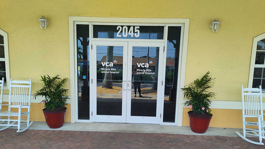 VCA Miracle Mile Animal Hospital Front Doors