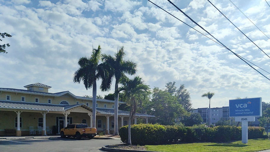 VCA Miracle Mile Animal Hospital Exterior