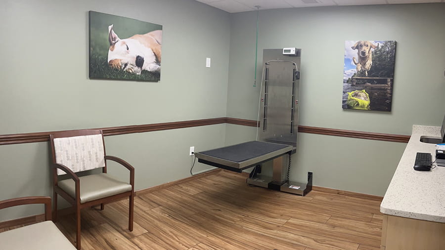 VCA Sanibel Exam Room