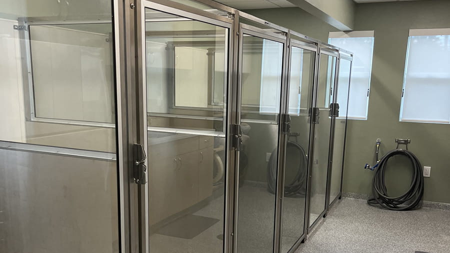 VCA Sanibel Boarding