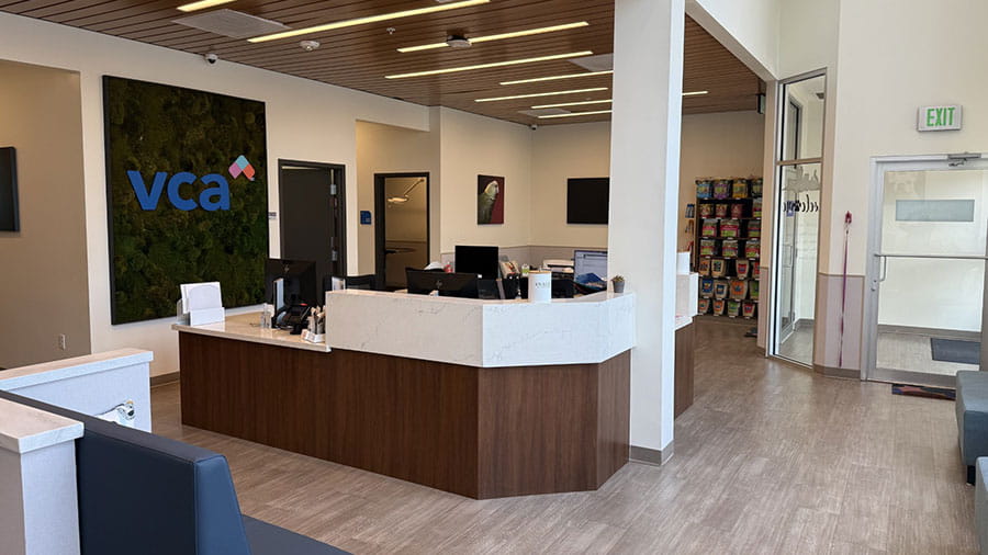 900x506_south-dade_lobby