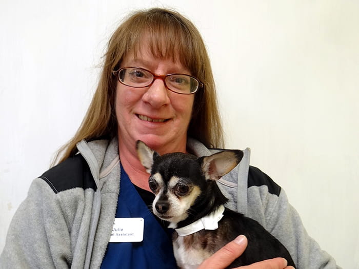 Julie E. Staff Photo