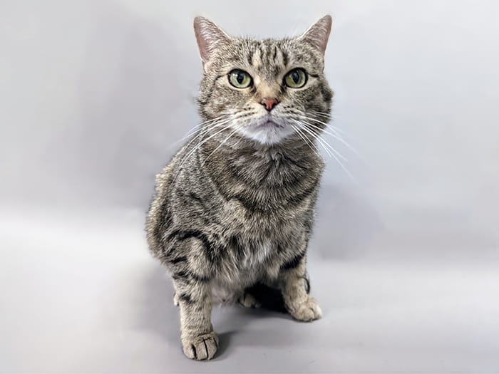 Ashley C. Staff Photo