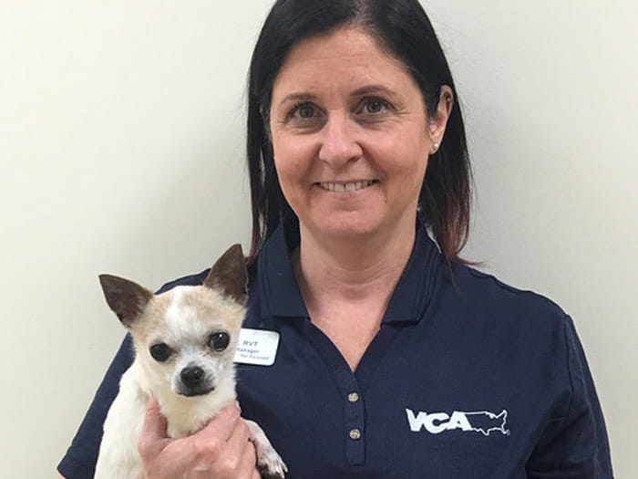 Falcon Village - Susan Goodman