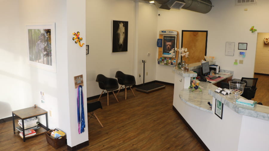 VCA North Atlanta lobby