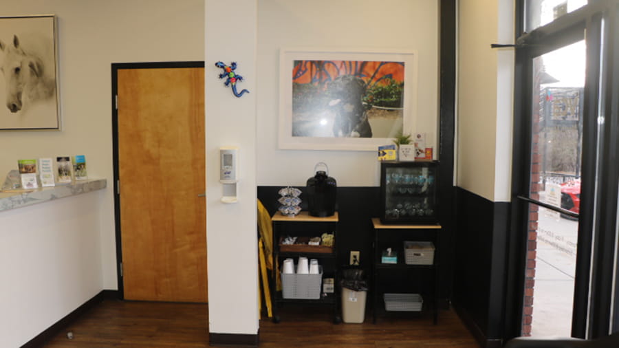 VCA North Atlanta lobby