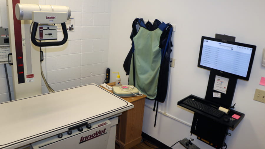 Digital radiology at VCA North Atlanta