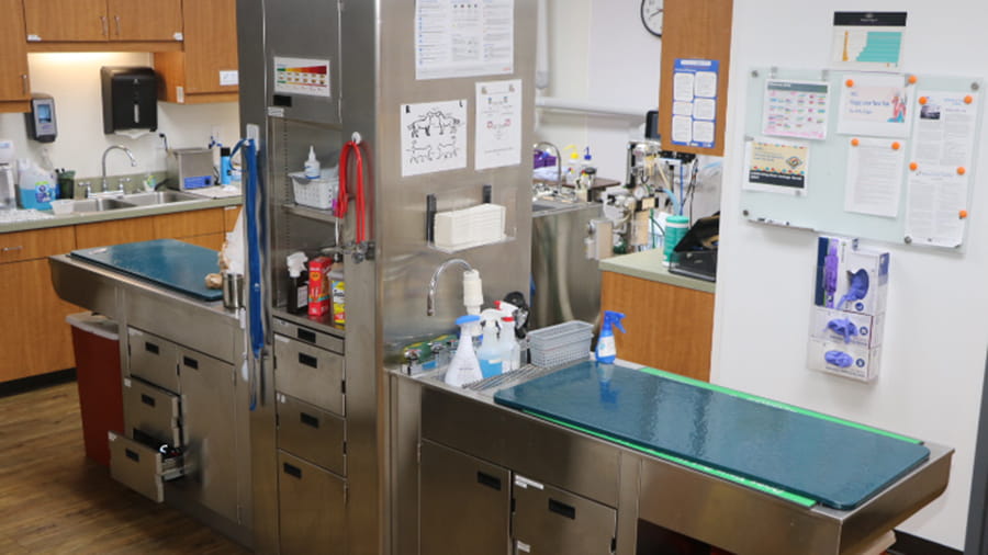 Treatment area at VCA North Atlanta