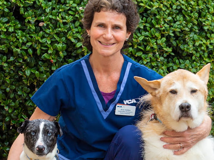 Ana Gadea Staff Photo 2020