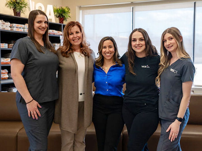 VCA Bolingbrook Animal Hospital Administration Team Photo
