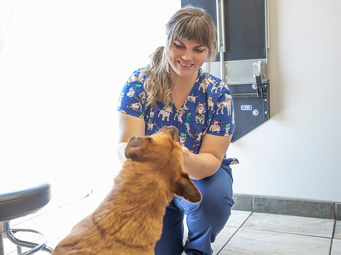 Lael Skeffington Staff Photo