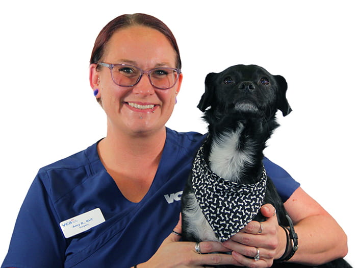 Amy Baldwin Staff Photo