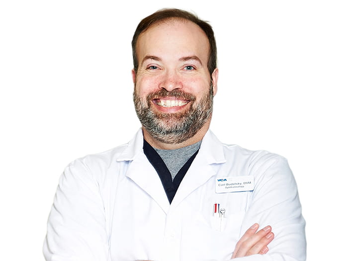 Dr. Carl Budelsky Staff Photo