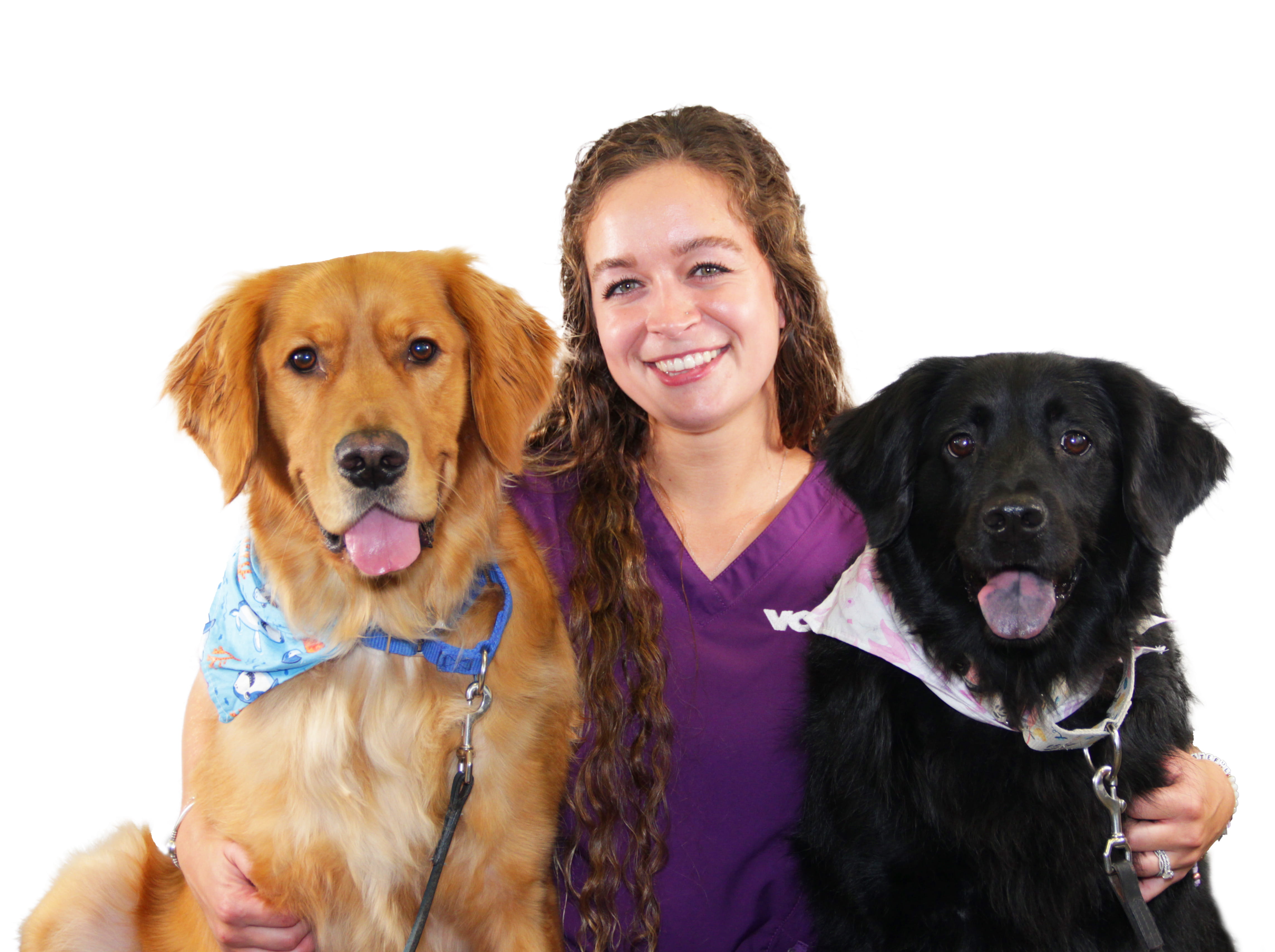 Madison Yoho Staff Photo