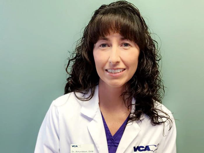 Stacey Amundson, DVM, Purdue University, Associate Veterinarian