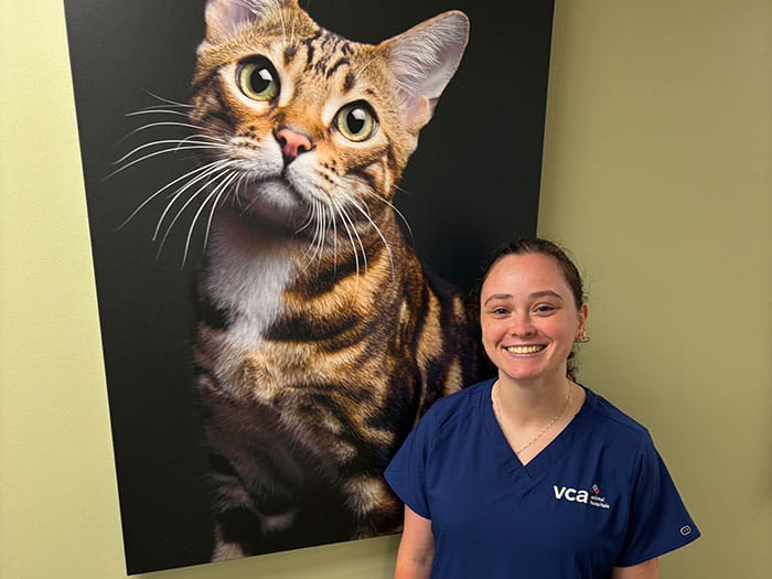 Collette Staff Photo