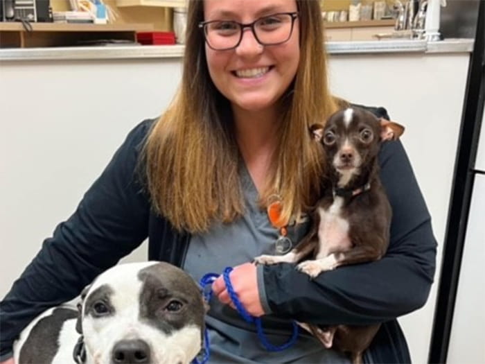 Amanda Chitwood Staff Photo