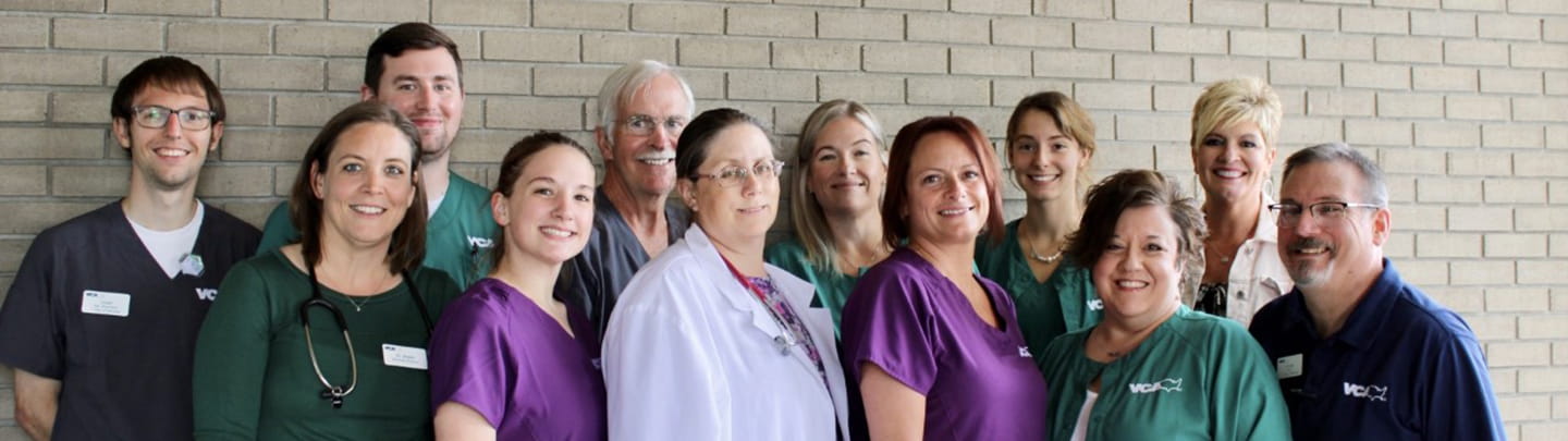 /-/media/2/vca/images/hospitals/united-states/indiana/swengel/staff/1440x405_swengel_ourteam2021.jpg?rev=907e6c00a74142c4aef8df78bb7a89c3