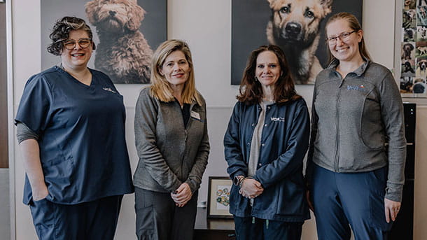 Client Services Staff