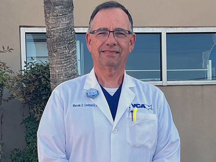 Dr. Marcelo Gentinetta Staff Photo