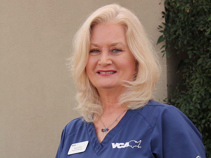 Mary Alice Shannon Staff Photo