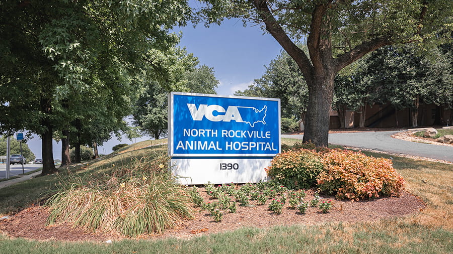 Exterior Signage at VCA North Rockville Animal Hospital