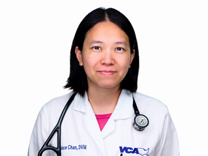 Dr. Grace Chan Staff Photo