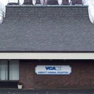 /-/media/2/vca/images/hospitals/united-states/massachusetts/abbott/galleries/185x185_map_abbott.jpg?rev=3965219bb4d6462da5f238cd8f919b98