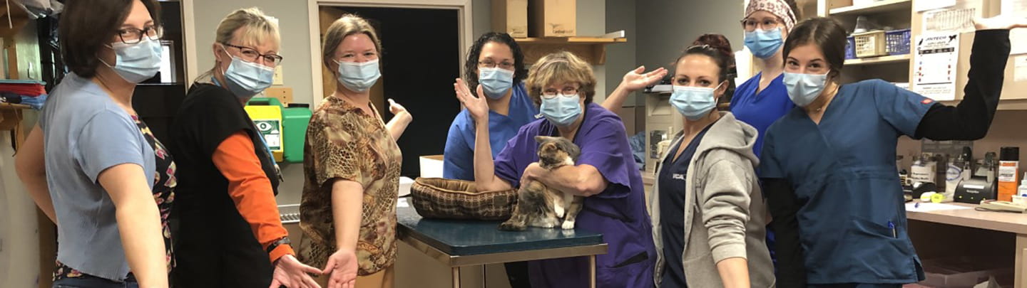 /-/media/2/vca/images/hospitals/united-states/massachusetts/blackstone-valley/staff/1440x405_blackstone-valley-team.jpg?rev=ab81ee9774d4419ab2e779322f4b7528