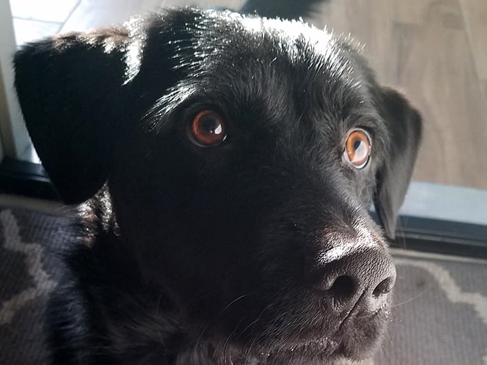 Stephanie Deerwester Staff Photo