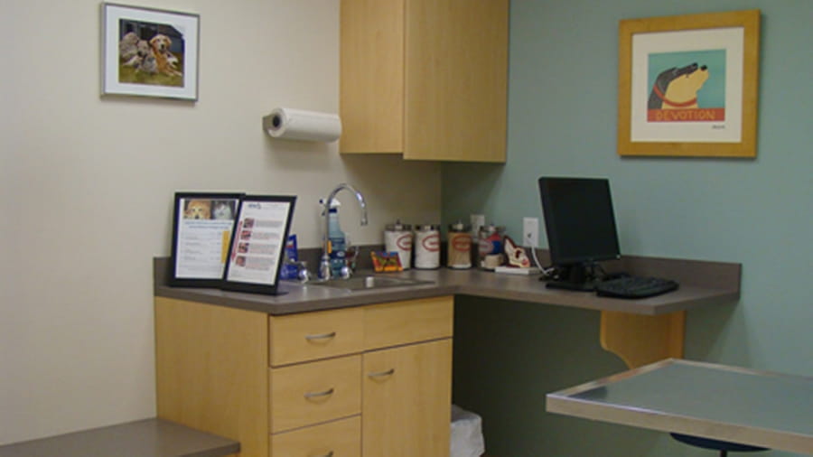 Exam room at VCA Capeway Animal Hospital