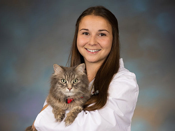 Dr. Laura Croteau Staff Photo