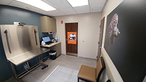 VCA Shaker Road Animal Hospital Exam Room