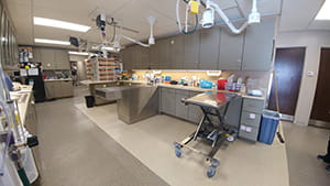 VCA Shaker Road Animal Hospital Waiting Room