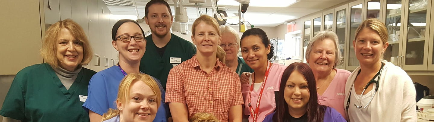 /-/media/2/vca/images/hospitals/united-states/massachusetts/shaker-road/staff/1440x405_shakerroad_team2.jpg?rev=d228855d1b0d4651b62960a60f829a3b