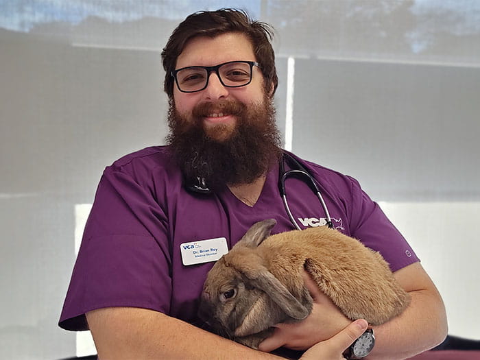 Dr. Brian Roy Staff Photo