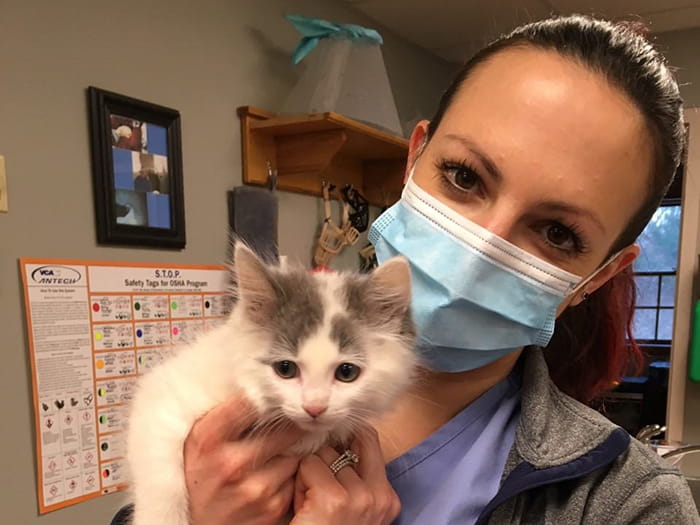 Melissa Ferracane Staff Photo