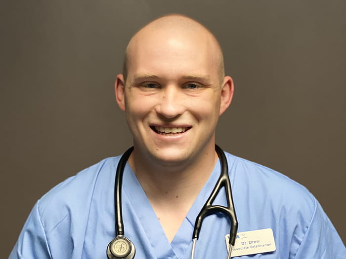 Dr. Andrew Brummitt