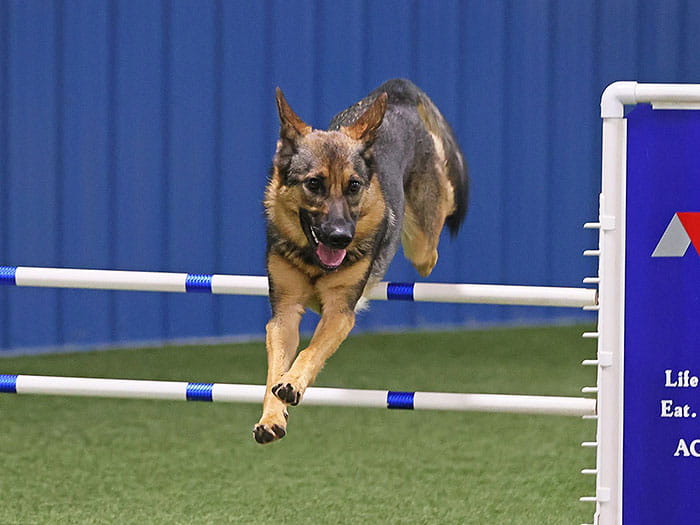 Michelle Staff Photo