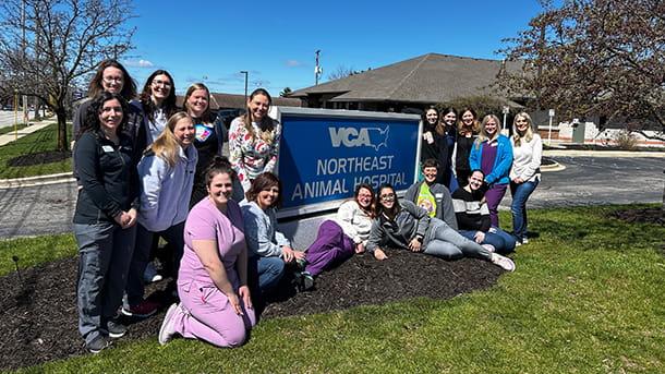 VCA Northeast Animal Hospital Team Photo